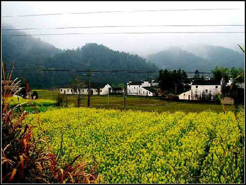 探客戶(hù)外手電筒 探客戶(hù)外手電筒